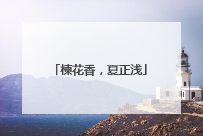 楝花香，夏正浅