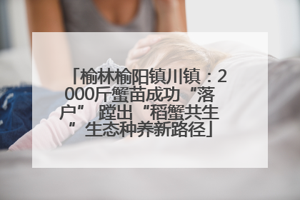 榆林榆阳镇川镇：2000斤蟹苗成功“落户” 蹚出“稻蟹共生”生态种养新路径