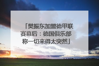 樊振东加盟德甲联赛幕后：德国俱乐部称一切来得太突然
