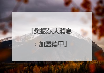 樊振东大消息：加盟德甲