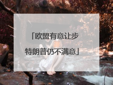 欧盟有意让步 特朗普仍不满意