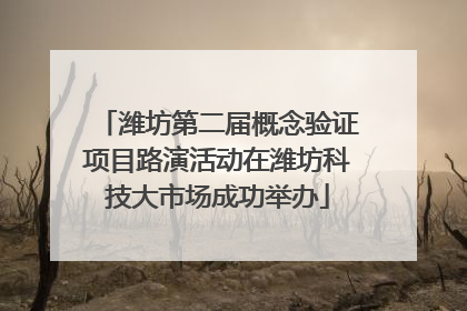 潍坊第二届概念验证项目路演活动在潍坊科技大市场成功举办