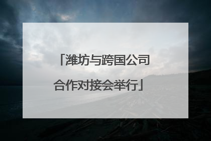 潍坊与跨国公司合作对接会举行
