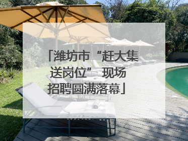 潍坊市“赶大集 送岗位” 现场招聘圆满落幕