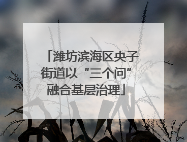 潍坊滨海区央子街道以“三个问”融合基层治理