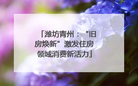 潍坊青州：“旧房焕新”激发住房领域消费新活力