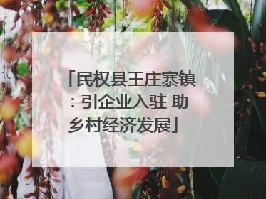 民权县王庄寨镇：引企业入驻 助乡村经济发展