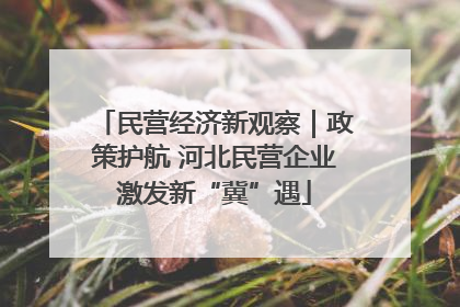 民营经济新观察｜政策护航 河北民营企业激发新“冀”遇