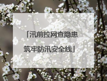 汛前拉网查隐患 筑牢防汛安全线