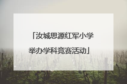 汝城思源红军小学举办学科竞赛活动