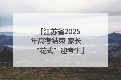 江苏省2025年高考结束 家长“花式”迎考生