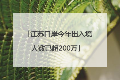 江苏口岸今年出入境人数已超200万