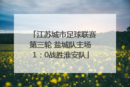 江苏城市足球联赛第三轮 盐城队主场1：0战胜淮安队