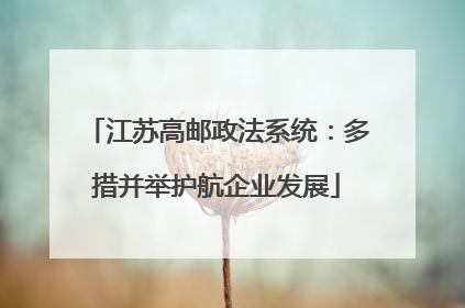江苏高邮政法系统：多措并举护航企业发展