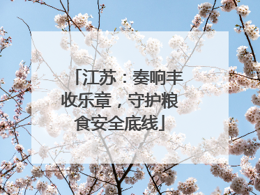 江苏：奏响丰收乐章，守护粮食安全底线