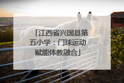 江西省兴国县第五小学：门球运动赋能体教融合