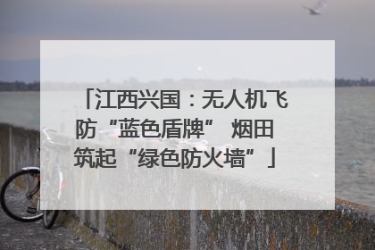 江西兴国：无人机飞防“蓝色盾牌” 烟田筑起“绿色防火墙”
