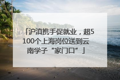 沪滇携手促就业，超5100个上海岗位送到云南学子“家门口”