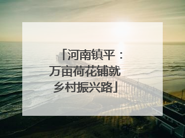 河南镇平：万亩荷花铺就乡村振兴路