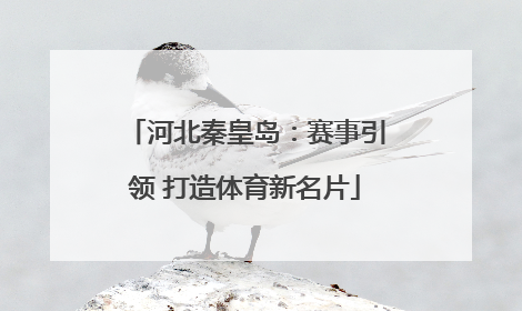 河北秦皇岛：赛事引领 打造体育新名片