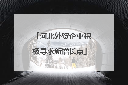 河北外贸企业积极寻求新增长点