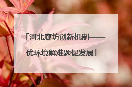 河北廊坊创新机制——优环境解难题促发展