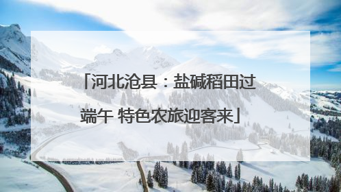 河北沧县：盐碱稻田过端午 特色农旅迎客来