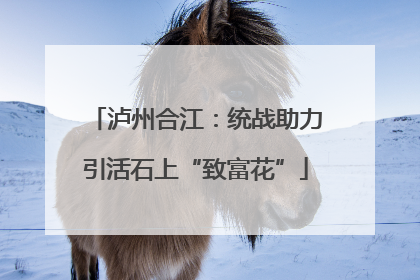 泸州合江：统战助力引活石上“致富花”