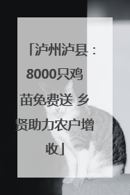 泸州泸县：8000只鸡苗免费送 乡贤助力农户增收