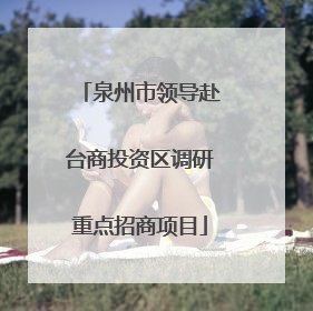 泉州市领导赴台商投资区调研重点招商项目