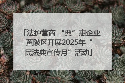 法护营商 “典”惠企业 黄陂区开展2025年“民法典宣传月”活动