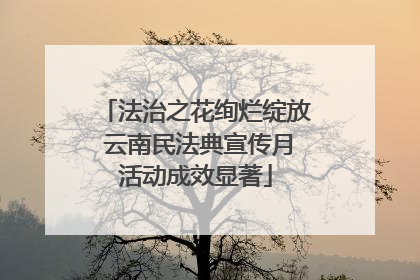法治之花绚烂绽放 云南民法典宣传月活动成效显著