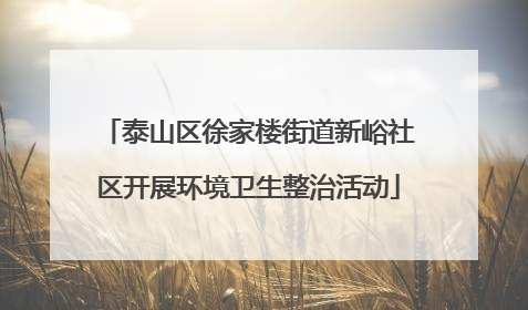 泰山区徐家楼街道新峪社区开展环境卫生整治活动