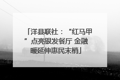洋县联社：“红马甲”点亮银发餐厅 金融暖延伸惠民末梢
