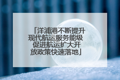 洋浦港不断提升现代航运服务能级 促进航运扩大开放政策快速落地