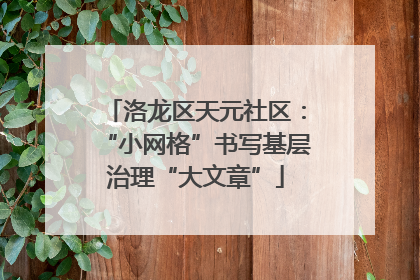 洛龙区天元社区：“小网格”书写基层治理“大文章”