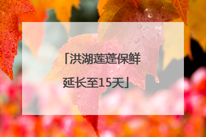 洪湖莲蓬保鲜延长至15天