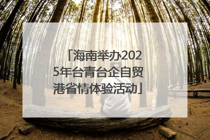 海南举办2025年台青台企自贸港省情体验活动