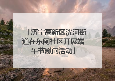 济宁高新区洸河街道在东闸社区开展端午节慰问活动