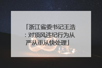 浙江省委书记王浩：对顶风违纪行为从严从重从快处理