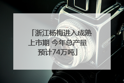 浙江杨梅进入成熟上市期 今年总产量预计74万吨