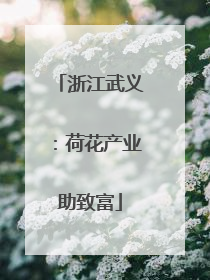浙江武义：荷花产业助致富