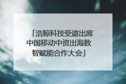 浩鲸科技受邀出席中国移动中资出海数智赋能合作大会