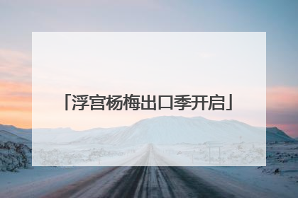 浮宫杨梅出口季开启