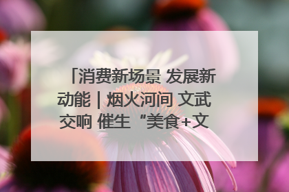 消费新场景 发展新动能｜烟火河间 文武交响 催生“美食+文化”消费新场景