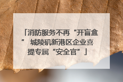 消防服务不再“开盲盒” 城陵矶新港区企业喜提专属“安全官”