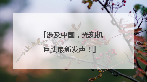 涉及中国，光刻机巨头最新发声！