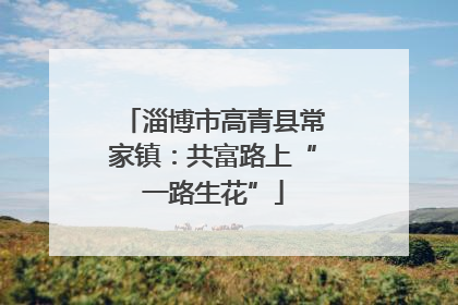 淄博市高青县常家镇：共富路上“一路生花”