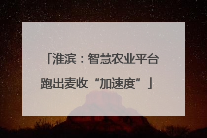 淮滨：智慧农业平台跑出麦收“加速度”