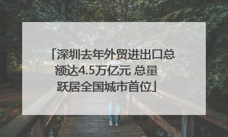 深圳去年外贸进出口总额达4.5万亿元 总量跃居全国城市首位